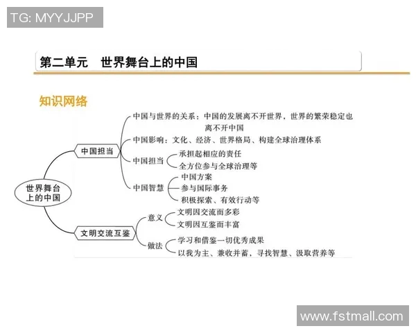 张宁在国际舞台上的崛起与成就探索新一代青年领袖的奋斗故事