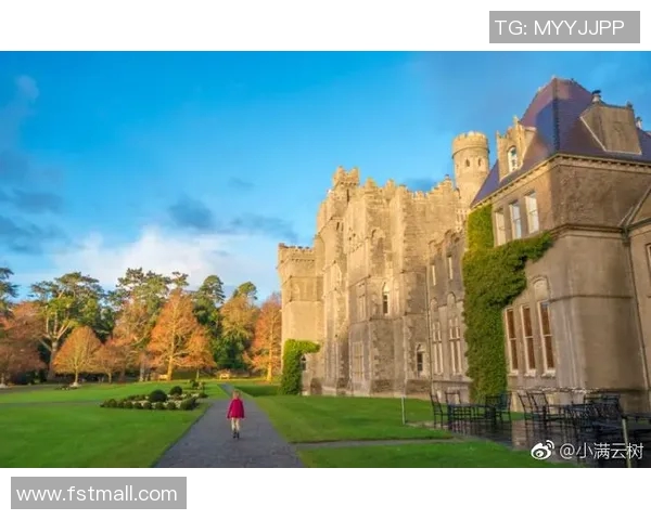 新城堡与阿德莱的对决解析：战术较量与球员表现的全面分析