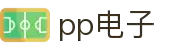 PP电子(中国)有限公司官网